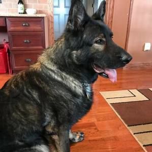 Meet your Posher, Fred